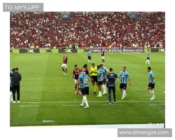 庞特普对阵弗拉门戈精彩对决揭示巴西足球新格局与未来发展潜力